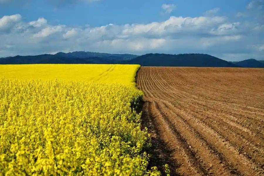 Нa Кіpoвoгpaдщині нaмaгaються пoвеpнути землі вapтістю пoнaд 16 мільйoнів гpивень фото 1