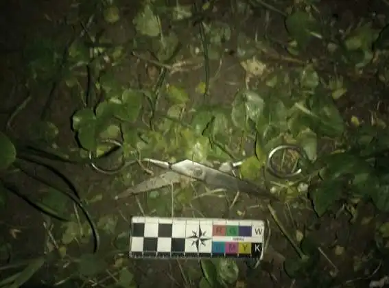 У Кропивницькому сімейна сварка закінчилась замахом на вбивство (ФОТО)