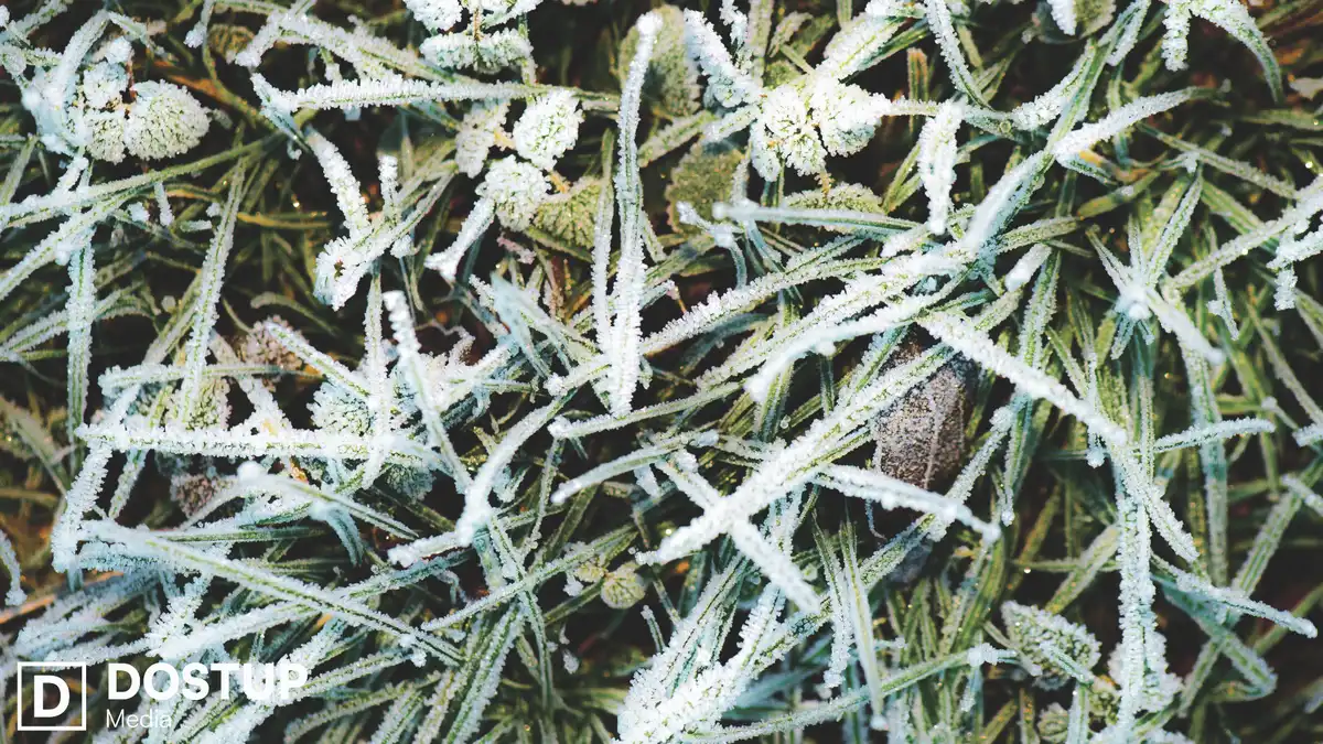 заморозки в Кіровоградській області