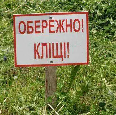 На Кіровоградщині знайшли інфікованих бореліями кліщів фото 1