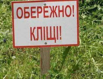 На Кіровоградщині знайшли інфікованих бореліями кліщів фото 1
