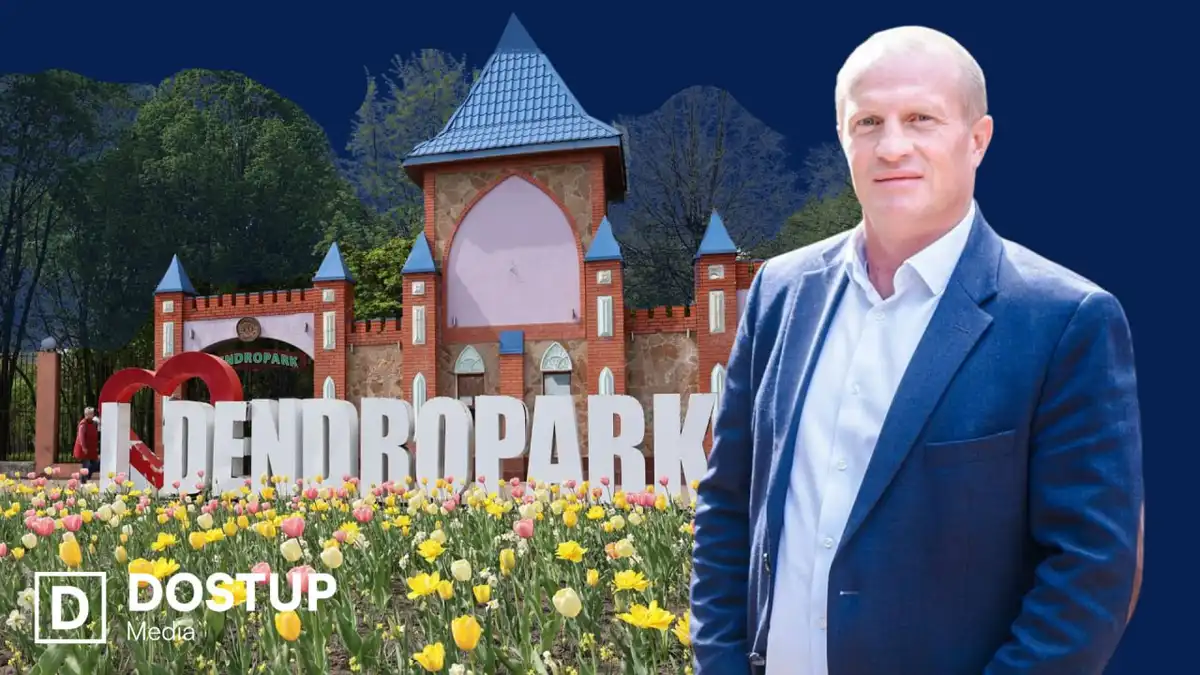 Історія декларування депутата Кропивницької міської ради Олександра Чибітька