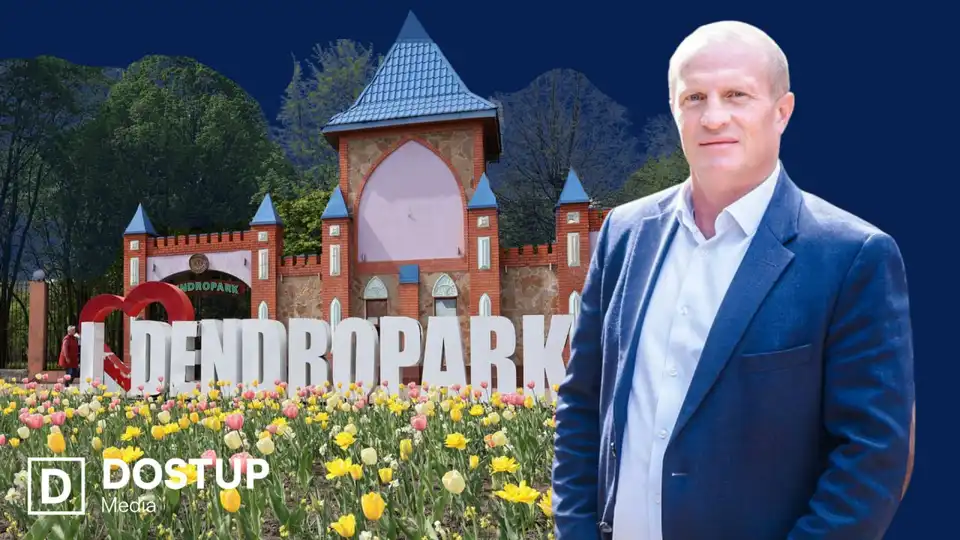 Історія декларування депутата Кропивницької міської ради Олександра Чибітька