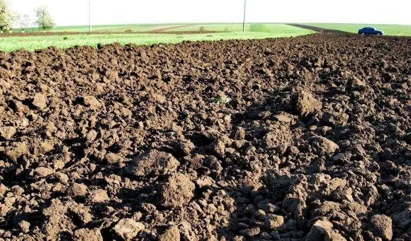 На Кіровоградщині за штучною схемою орендували 100 га землі вартістю 1,7 млн