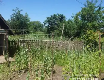 На Кіровоградщині в місцевої жительки виявили понад 1400 кущів маку фото 1