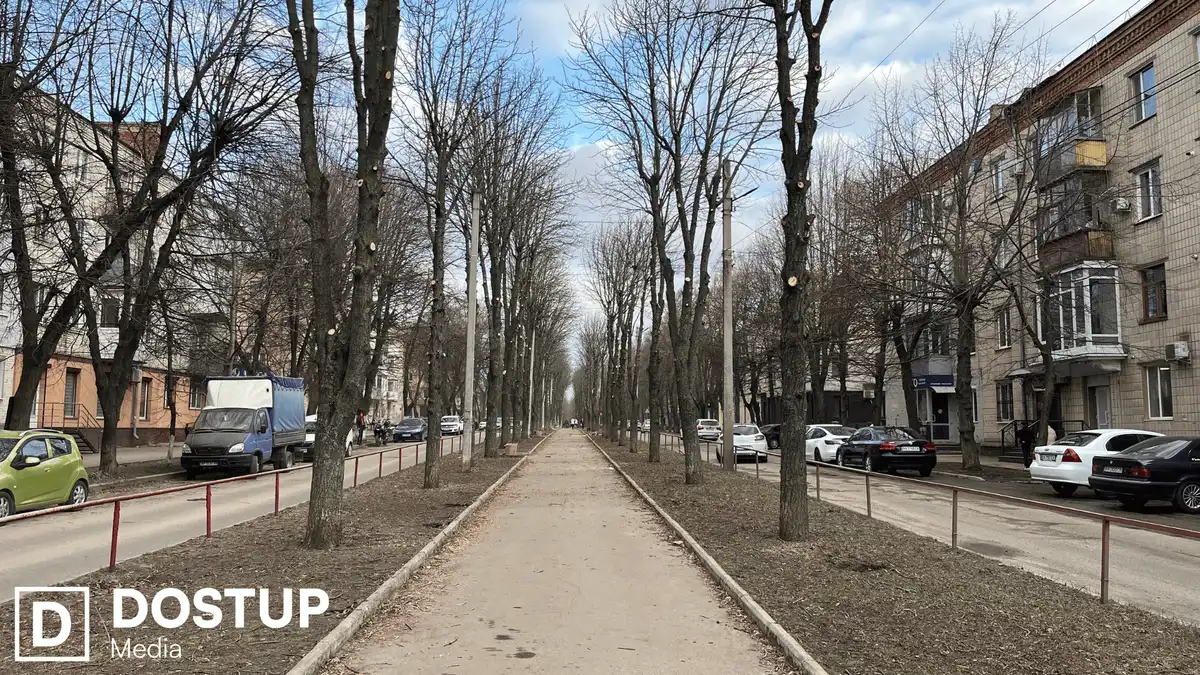 Спилюють і обрізають дерева у центрі Кропивницькому: чому