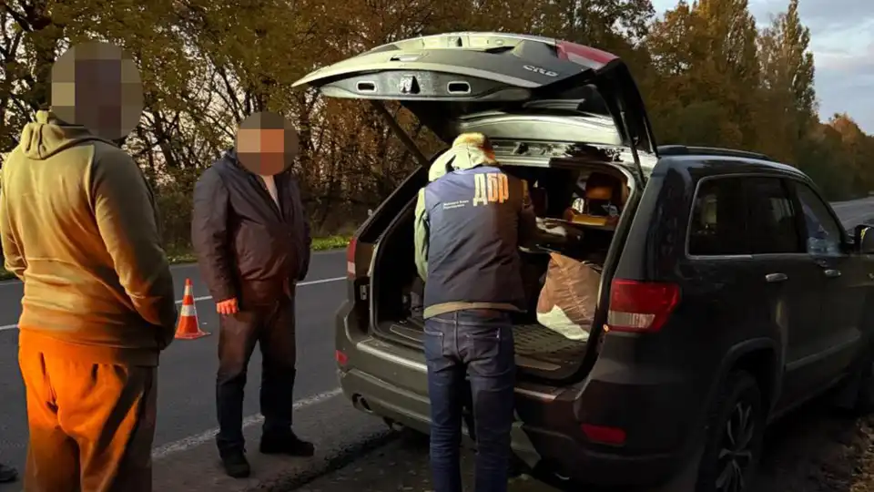 Діяли в шести областях: незаконну вирубку дубів викрили на Кіровоградщині