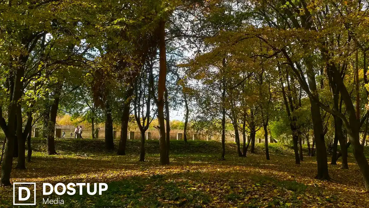 Без опадів та до 21° тепла: якою буде погода на Кіровоградщині у вихідні