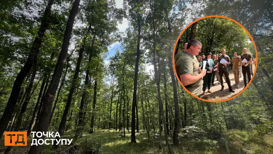 Перший Парк національного значення хочуть створити на Кіровоградщині: лісівники проти – Точка доступу з’ясовувала ситуацію
