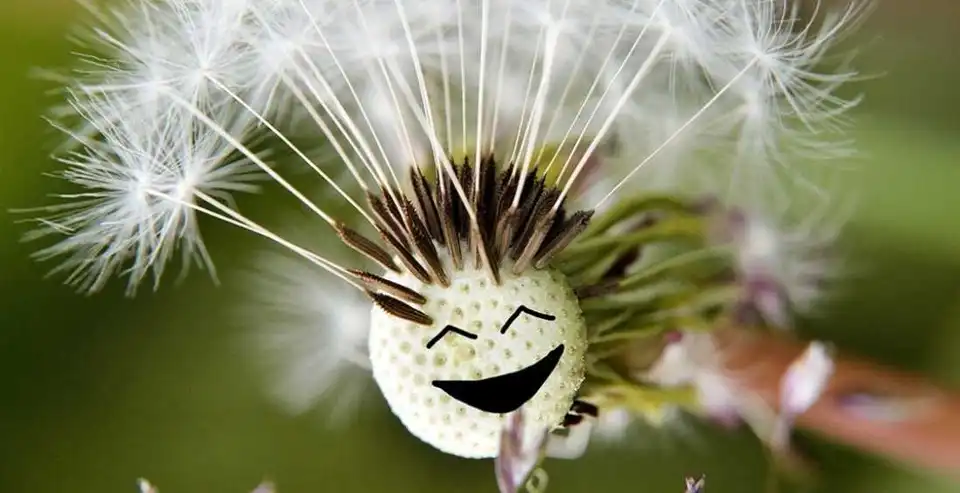 Вихідні у чеpвні: скільки відпочиватимуть укpаїнці у пеpший місяць літа