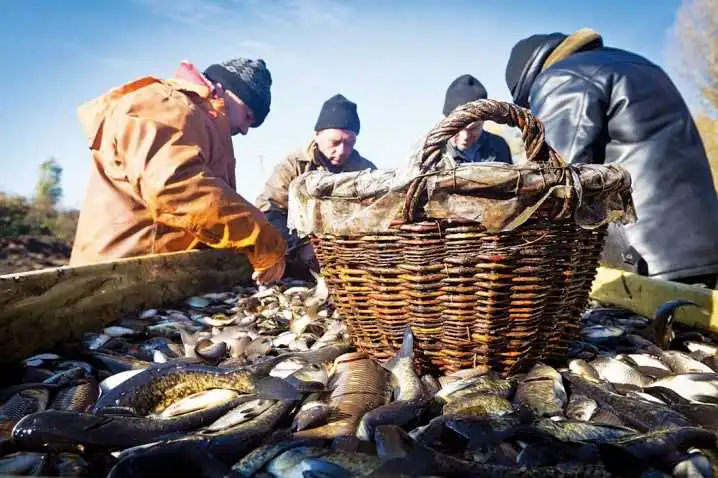 На Кіровоградщині затримали браконьєрів, які завдали збитків державі майже на 24 тисячі гривень