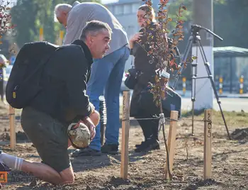 рідні загиблих Героїв висадили дерева у Кропивницькому