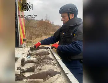 У одній з громад Кіровоградщини сапери знищили міни минулих війн