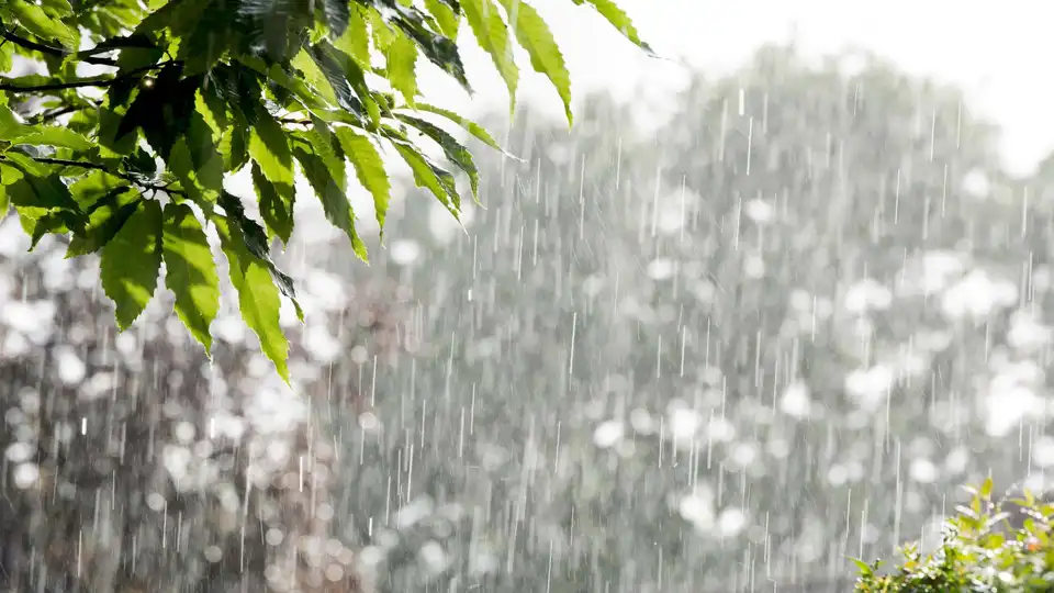 Грозу і дощ прогнозують сьогодні на Кіровоградщині