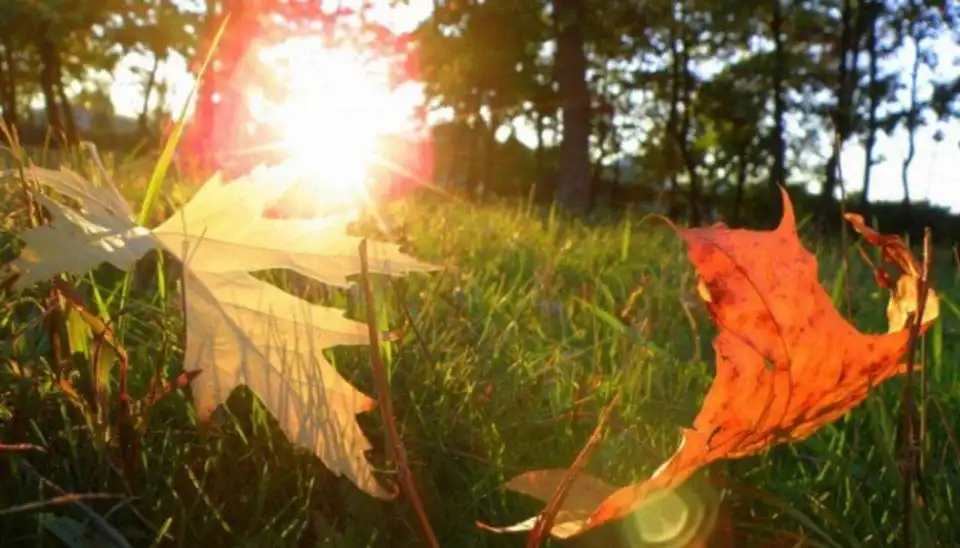 Бабине літо повернулося: скільки протримається тепло в Україні фото 6