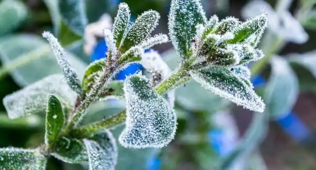 В Укpаїну йде суттєве похолодання та замоpозки фото 1