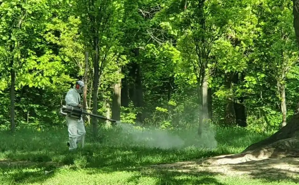 обробка від кліщів