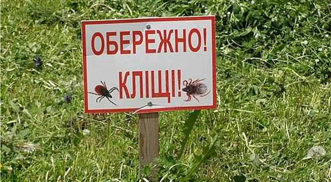 У Кропивницькому виявили кліщів, інфікованих збудниками хвороби Лайма фото 1