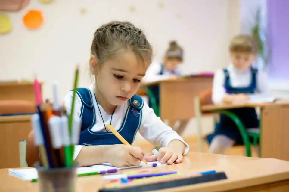 Поділ класів на підгрупи: Лариса Костенко розповіла про ситуацію в Кропивницькому (ВІДЕО)