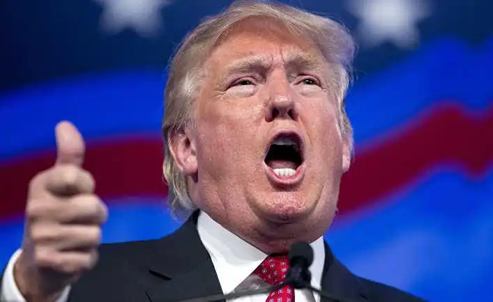 Завдяки «штатам-гойдалкам» на виборах у США переміг Дональд Трамп (ФОТО) фото 2