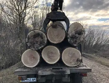 Лісничому на Кіровоградщині повідомили про підозру за розтрату держмайна фото 1