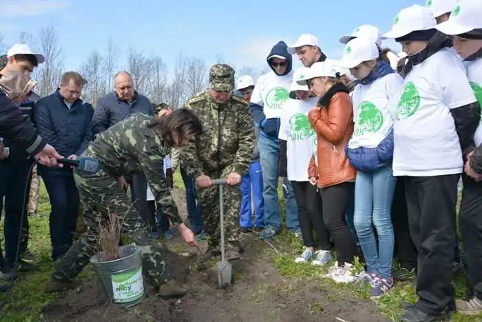 На Кіровоградщині висадили більше ста гектарів нових лісів (ФОТО) фото 1