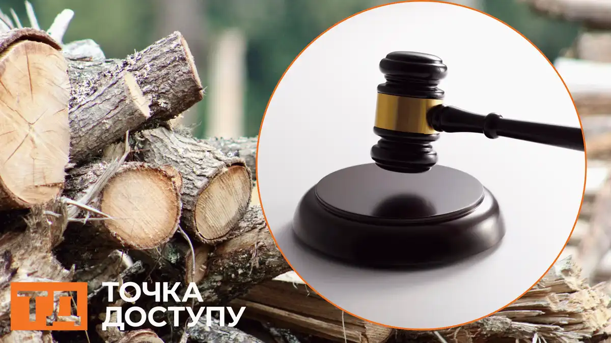 Майже 5 мільйонів збитків довкіллю: справу про вирубку дерев в заказнику на Кіровоградщині передали до суду фото 1