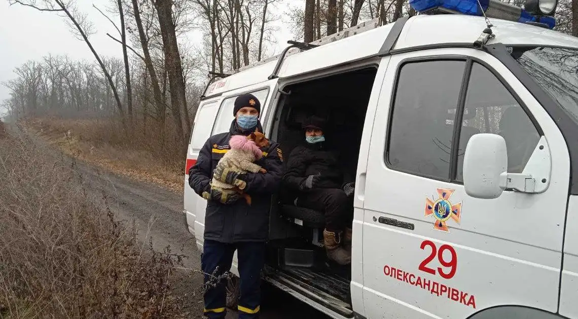 На Кіровоградщині розшукали жінку та собаку, які заблукали в лісі (ФОТО) фото 1