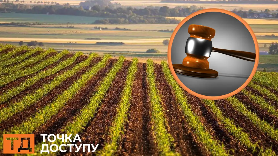 на аукціон виставили землю в Кіровоградській області