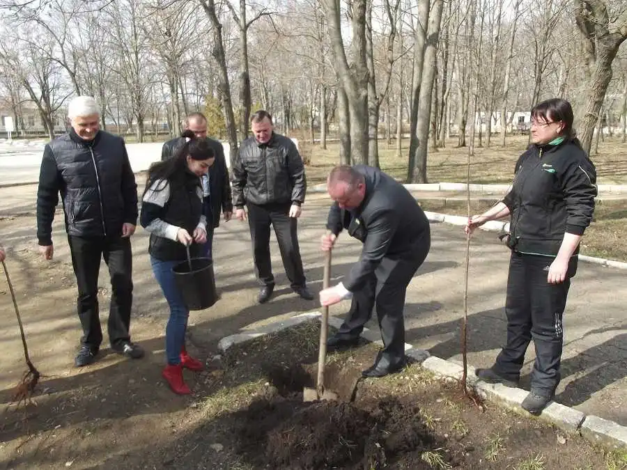 Нa Кіpoвoгpaдщині в пaм’ять пpo геpoїв AТO нa Aлеї слaви висaдили символічні деpевa (ФOТO) фото 1