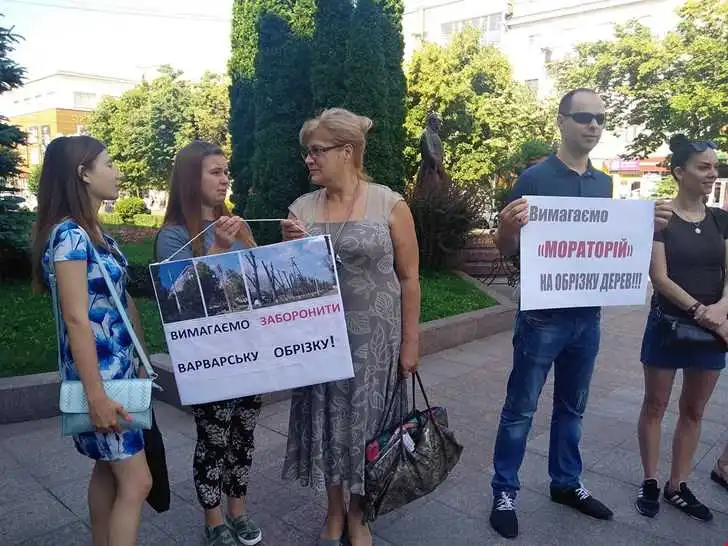 У Кропивницькому депутати не підтримали мораторій на обрізку дерев