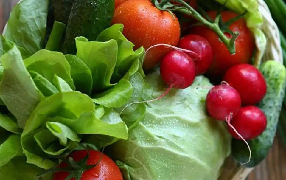 На Кіровоградщині до продажу не допустили понад 250 кг продуктів через перевищений вміст нітратів фото 1