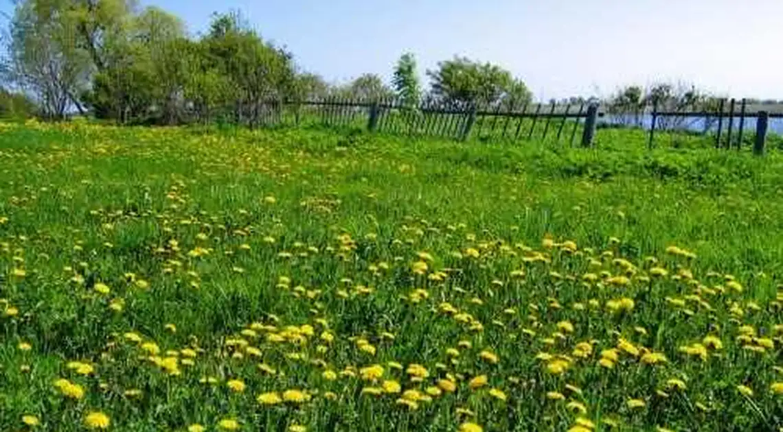 Іноземка подарувала посадовиці з Кіровоградщини 4 га землі фото 1