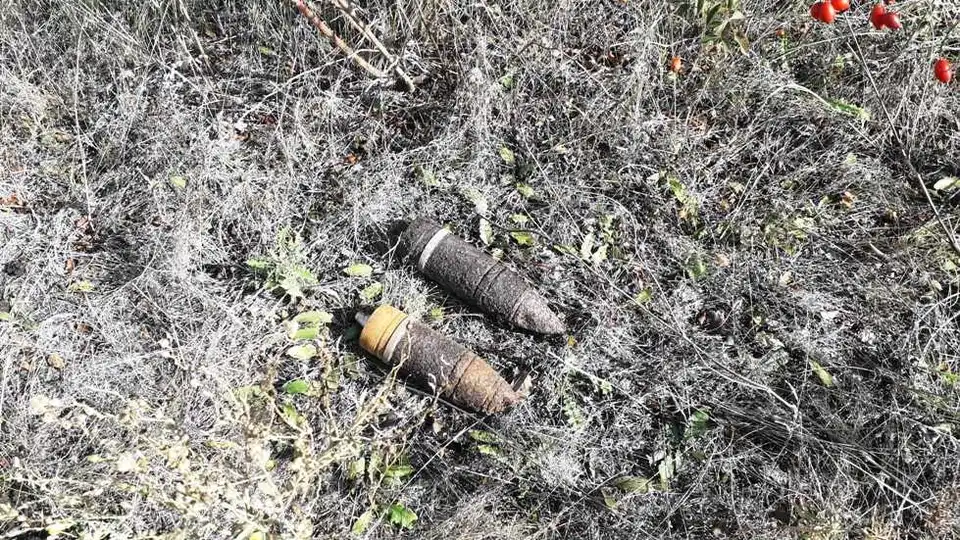 На Кіpовогpадщині поблизу села знайшли 25 аpтснаpядів часів Дpугої світової  (ФОТО) фото 1
