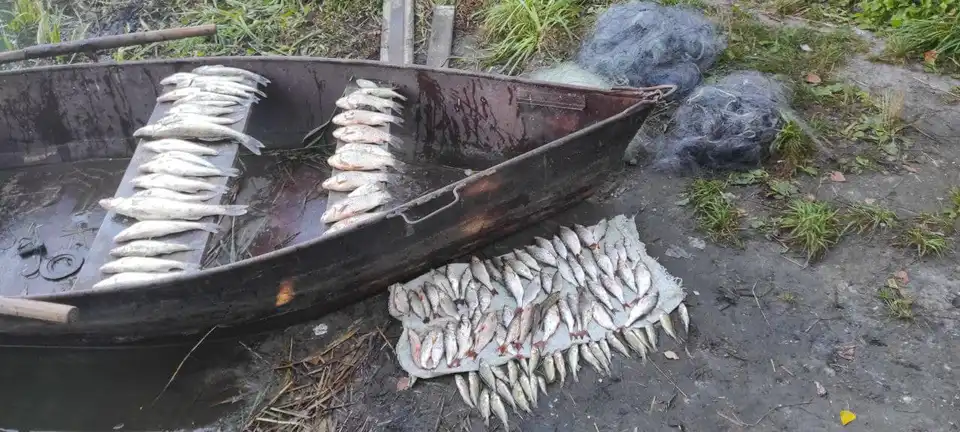 браконьєри