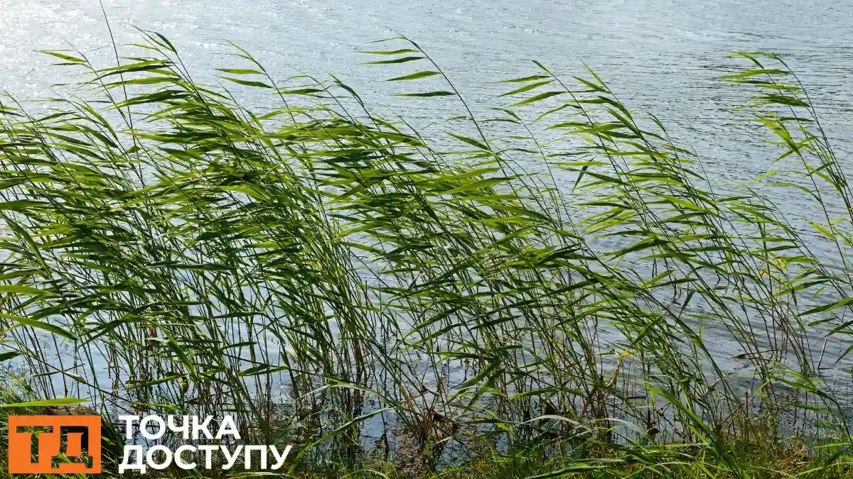 погода у Кропивницькому і області