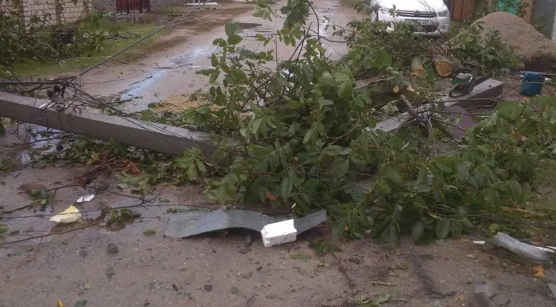 Зірвані дахи та поламані дерева: у Кропивницькому негода наробила лиха (ФОТО) фото 1