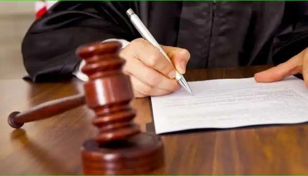 У Кропивницькому судитимуть жінку, підозрювану в масовому отруєнні собак