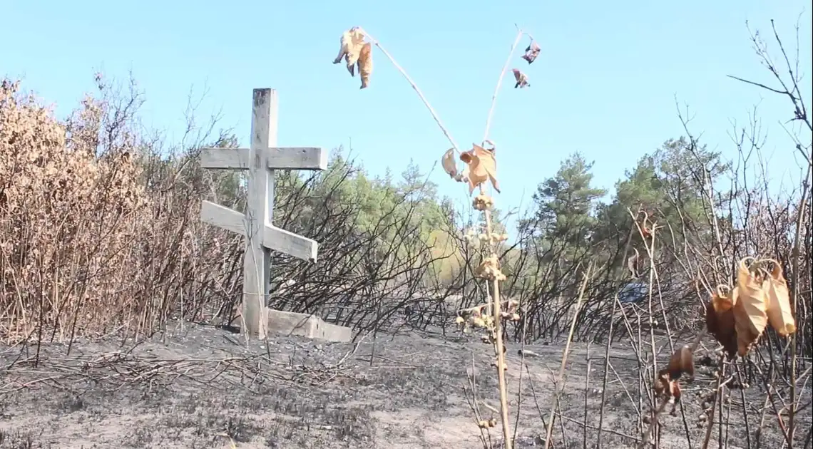 Випалена земля та згорілі хрести: у Кропивницькому підпалили найстаріше кладовище (ФОТО) фото 1