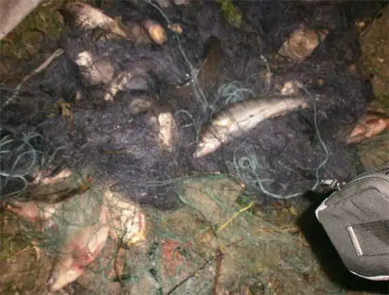 На Кіровоградщині затримали браконьєра з варварським знаряддям (ФОТО)