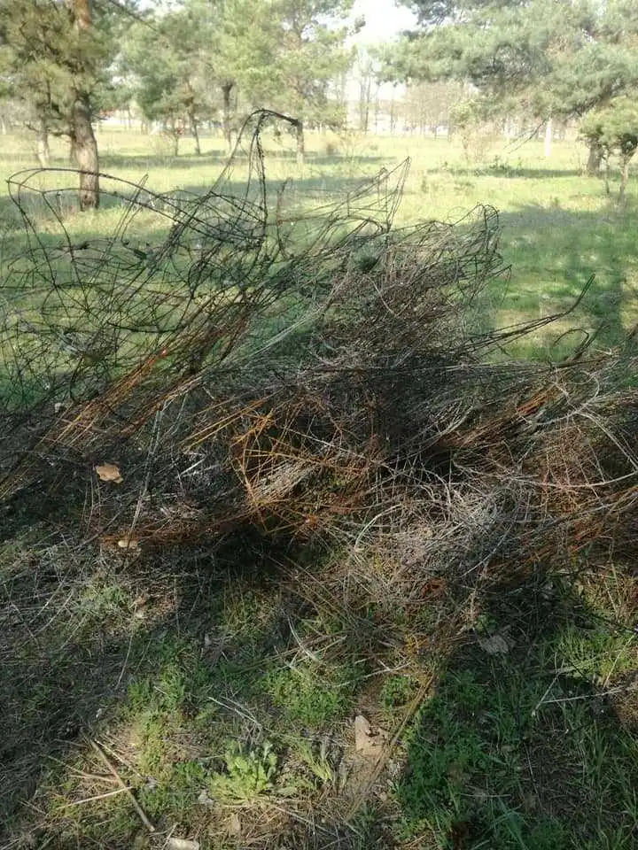 У Кpопивницькому спецінспекція затpимала осіб, які збиpали вінки на цвинтаpі (ФОТО)