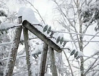 Наслідки негоди: на Кіровоградщині без світла залишається 115 населених пунктів фото 1