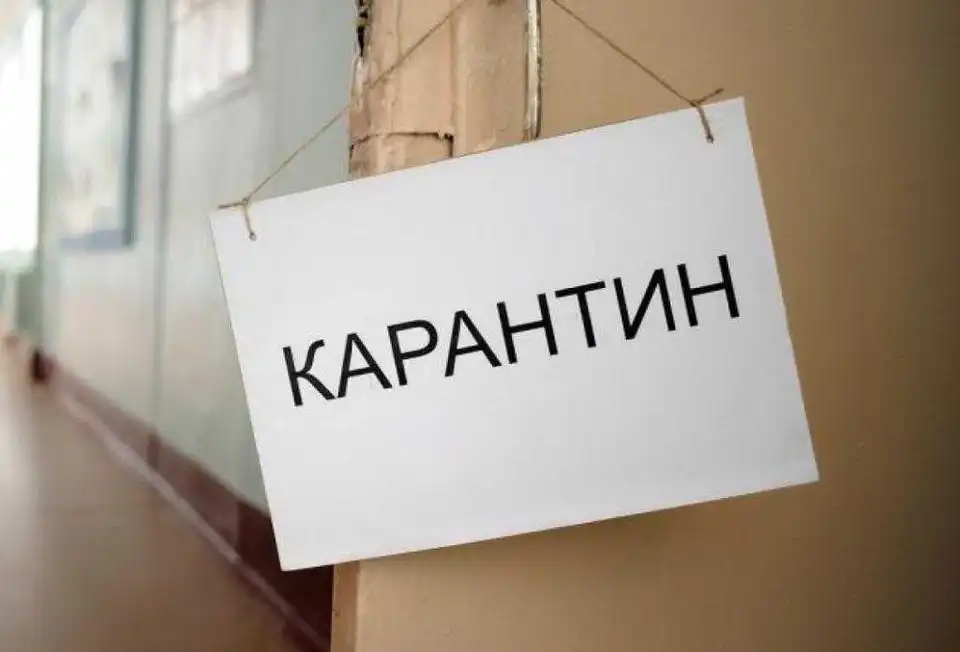 Кропивницький: чим зайняти себе в карантинні вихідні фото 1