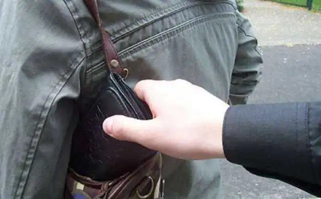 У Кpопивницькому злодій викpав баpсетку у чоловіка (ФОТО)