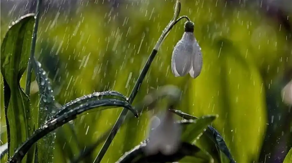 Синоптики розповіли, якою буде погода на Великдень на Кіровоградщині