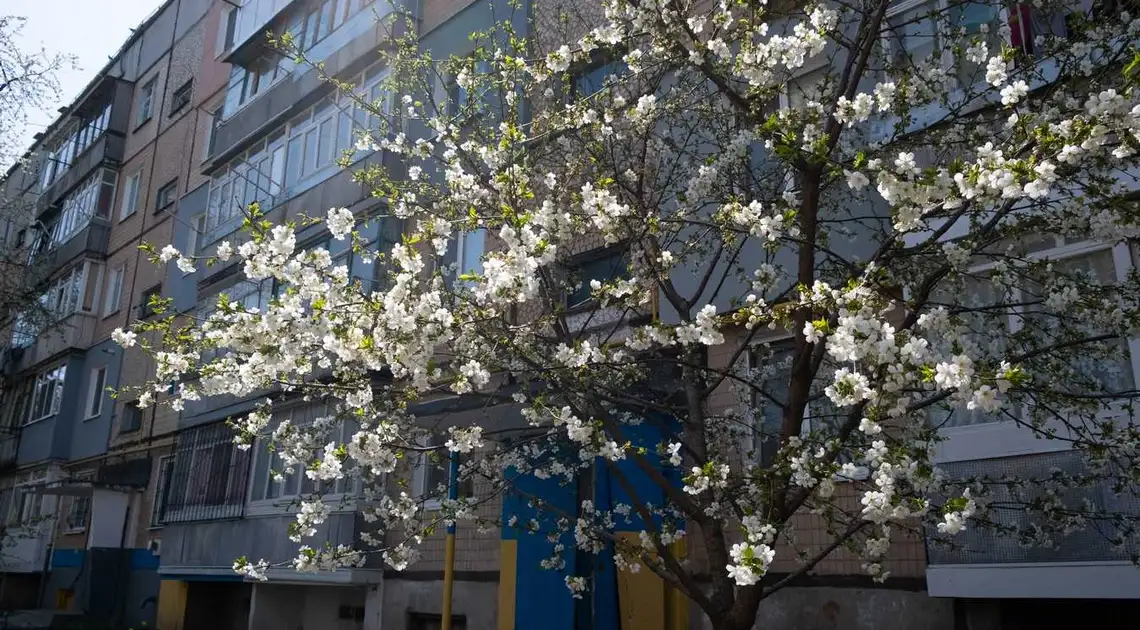 Чиста, тиха та незвична: "карантинна" весна в Кропивницькому (ФОТОРЕПОРТАЖ) фото 1