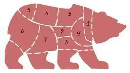 Російський політолог спрогнозував розпад Російської Федерації та розповів, чим він загрожує світу