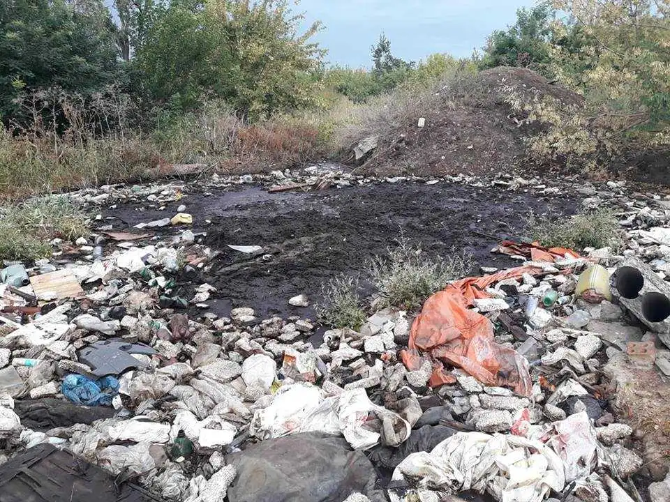 У Кропивницькому виявили звалище решток мертвих тварин (ФОТО, ВІДЕО)