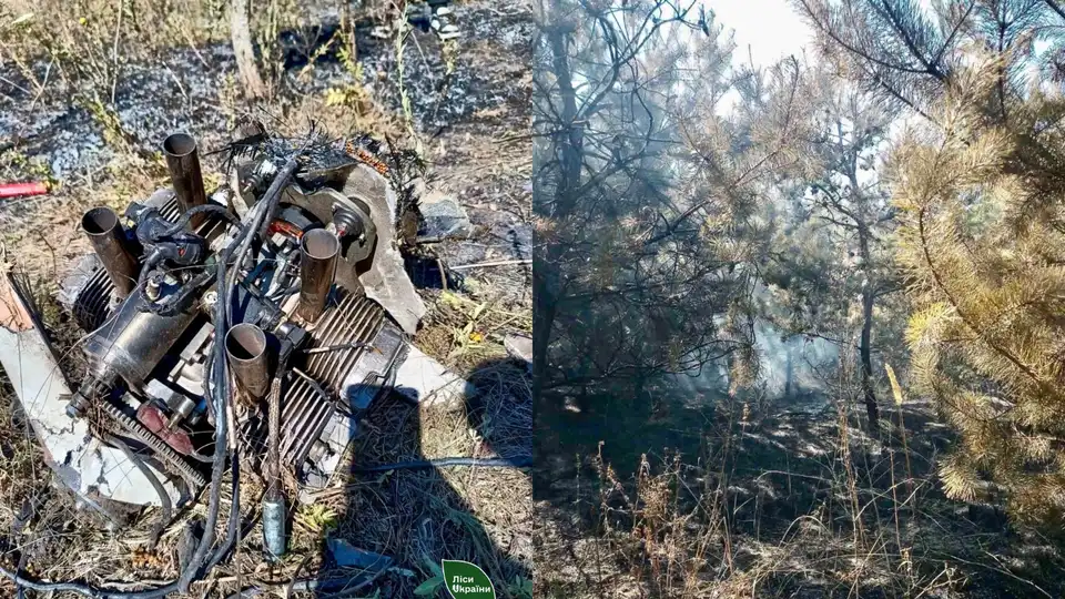 Лісові пожежі