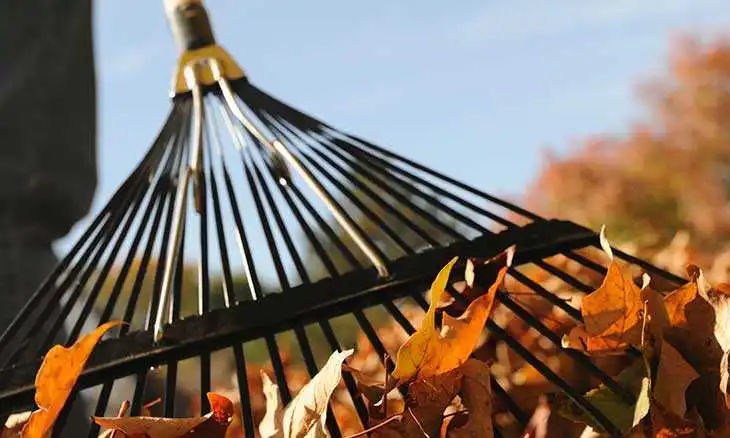 У Кропивницькому визначили види громадських робіт на 2019 рік (ПЕРЕЛІК)